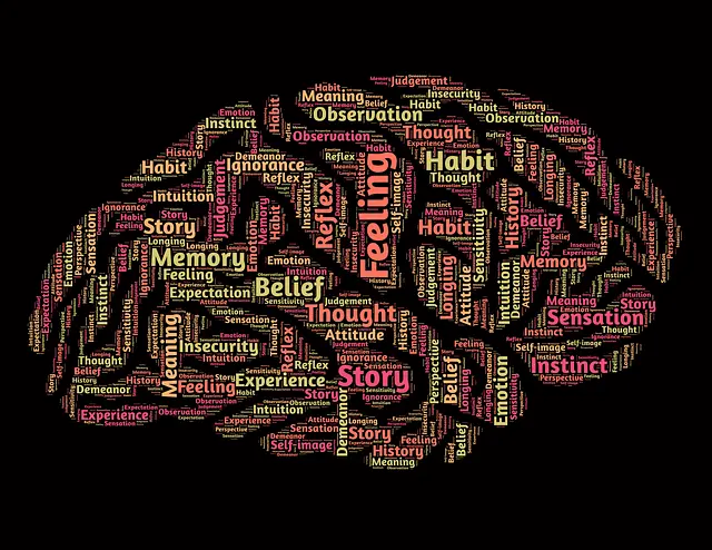 un cerebro con muchas palabras de diferente tamaño e importancia